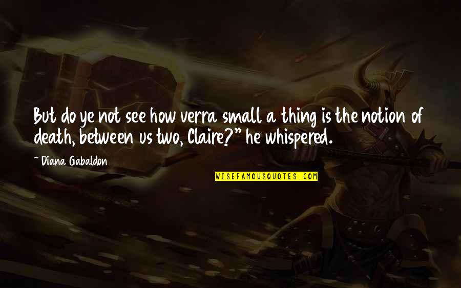 Pormido Quotes By Diana Gabaldon: But do ye not see how verra small