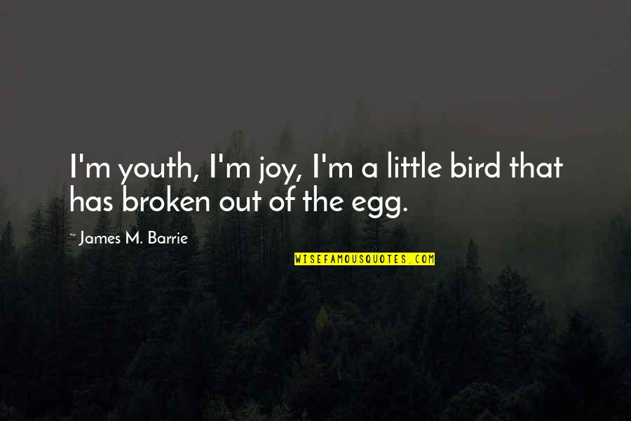 Portalatin Jacksonville Quotes By James M. Barrie: I'm youth, I'm joy, I'm a little bird Portalatin Jacksonville Quotes By James M. Barrie: I'm youth, I'm joy, I'm a little bird