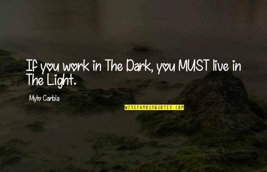 Portefeuille Diapason Quotes By Mylo Carbia: If you work in The Dark, you MUST