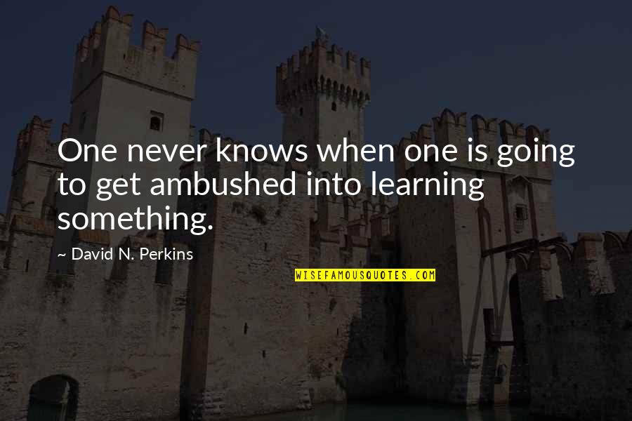 Portfolio Quotes Quotes By David N. Perkins: One never knows when one is going to