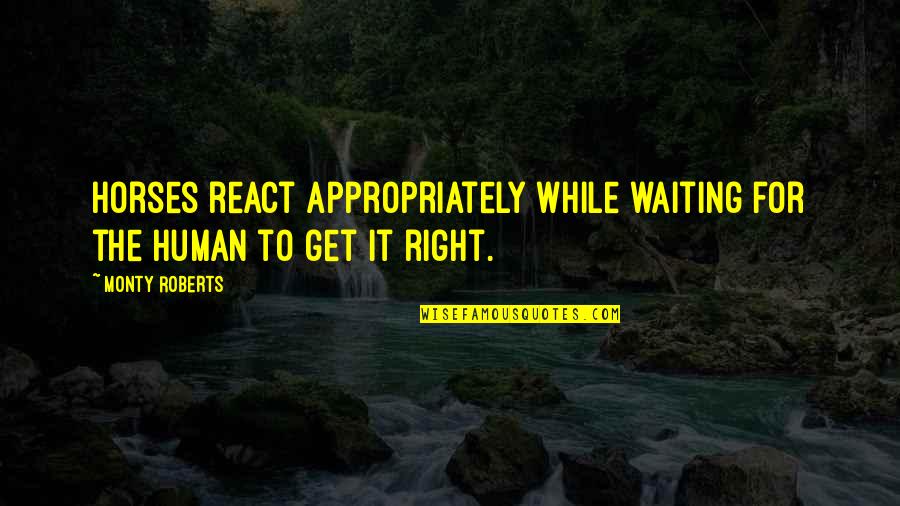 Portgas D Ace Best Quotes By Monty Roberts: Horses react appropriately while waiting for the human