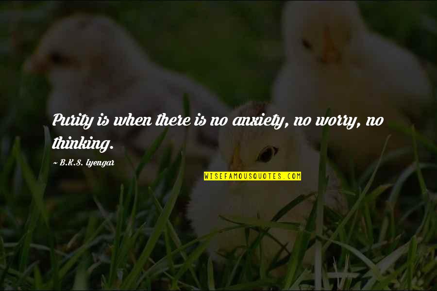 Portgas D Ace Quotes By B.K.S. Iyengar: Purity is when there is no anxiety, no