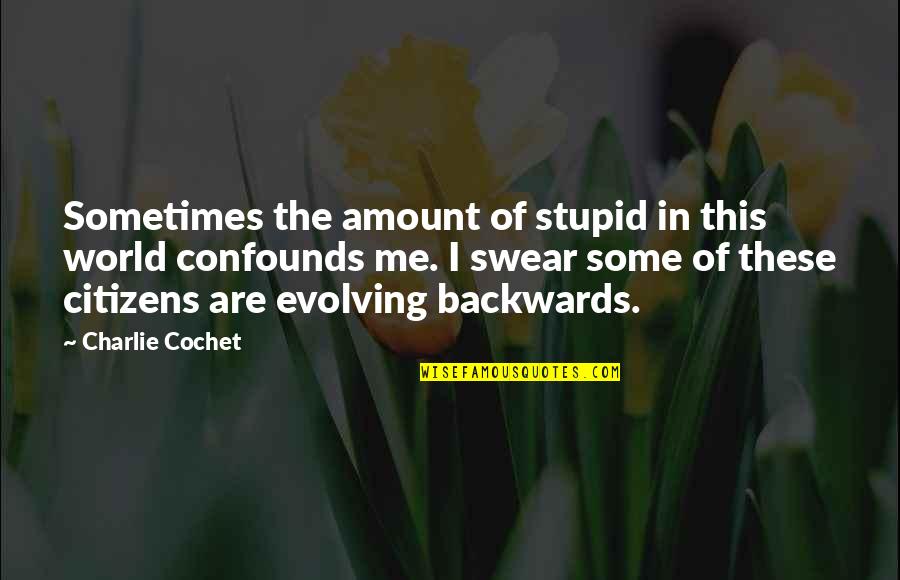 Portnow Actor Quotes By Charlie Cochet: Sometimes the amount of stupid in this world Portnow Actor Quotes By Charlie Cochet: Sometimes the amount of stupid in this world