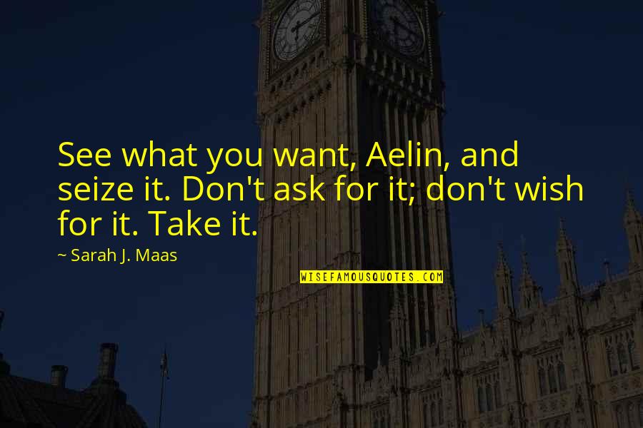 Portos Cake Quotes By Sarah J. Maas: See what you want, Aelin, and seize it.