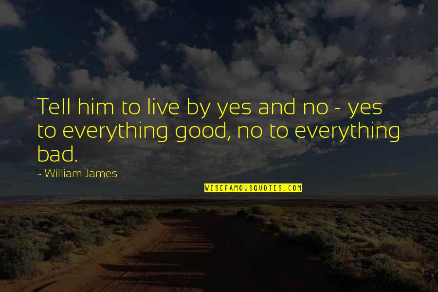 Posibilitar Definicion Quotes By William James: Tell him to live by yes and no