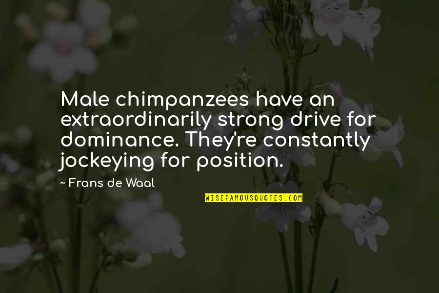 Position An Quotes By Frans De Waal: Male chimpanzees have an extraordinarily strong drive for