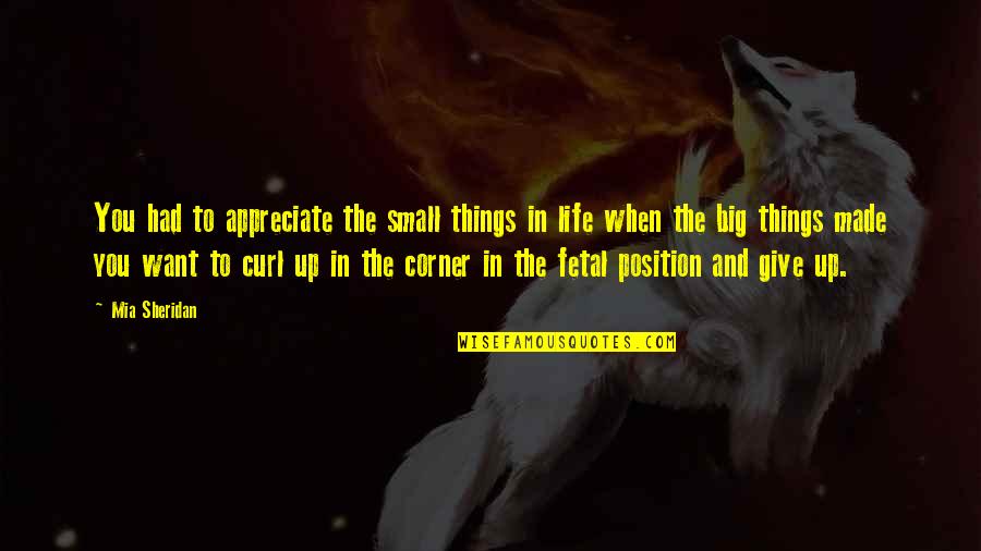 Position In Life Quotes By Mia Sheridan: You had to appreciate the small things in