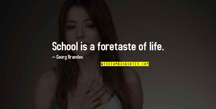 Positionally Holy Quotes By Georg Brandes: School is a foretaste of life.