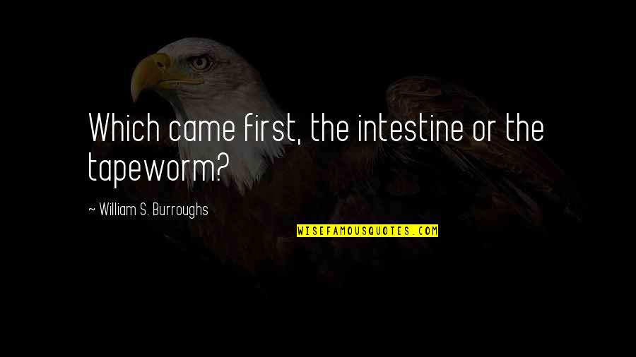 Positioning Quotes By William S. Burroughs: Which came first, the intestine or the tapeworm?