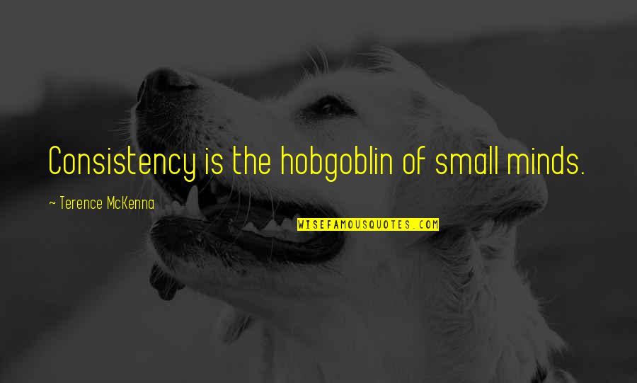 Positionless Soccer Quotes By Terence McKenna: Consistency is the hobgoblin of small minds.
