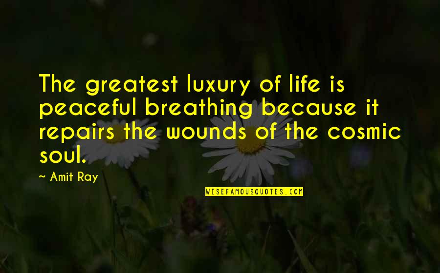 Positive Attitude In Life Quotes By Amit Ray: The greatest luxury of life is peaceful breathing Positive Attitude In Life Quotes By Amit Ray: The greatest luxury of life is peaceful breathing