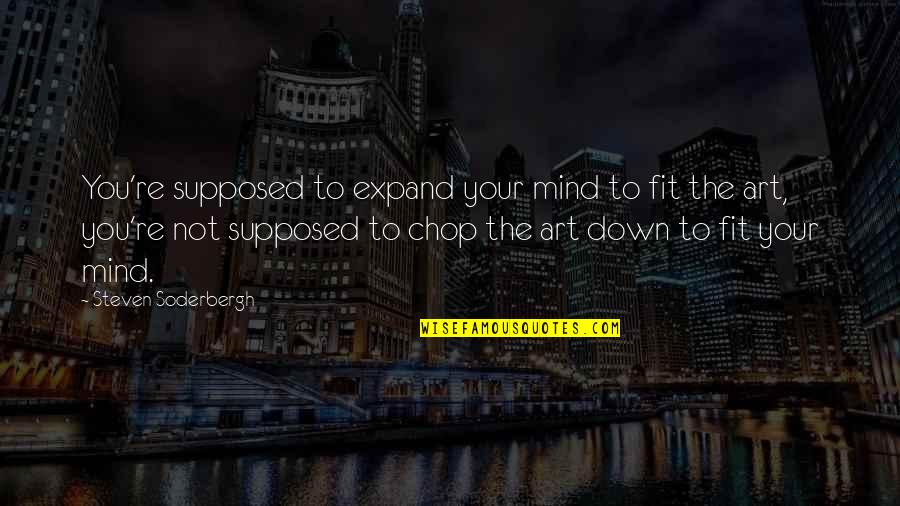 Positive Cash Flow Quotes By Steven Soderbergh: You're supposed to expand your mind to fit