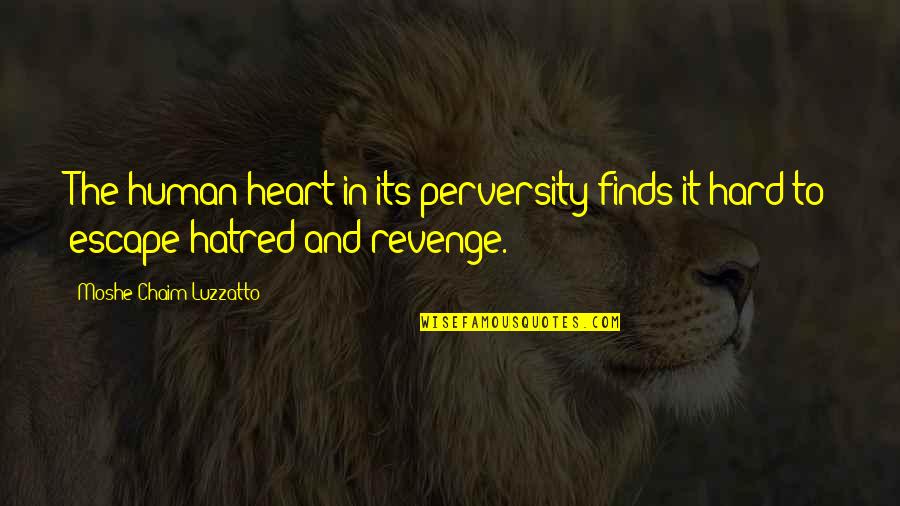 Positive Conflict Resolution Quotes By Moshe Chaim Luzzatto: The human heart in its perversity finds it