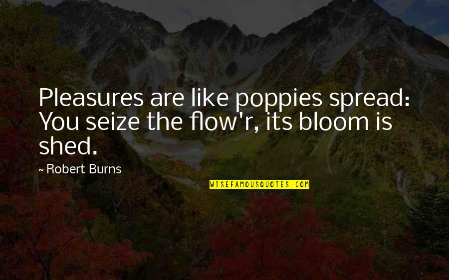 Positive Conforming Quotes By Robert Burns: Pleasures are like poppies spread: You seize the