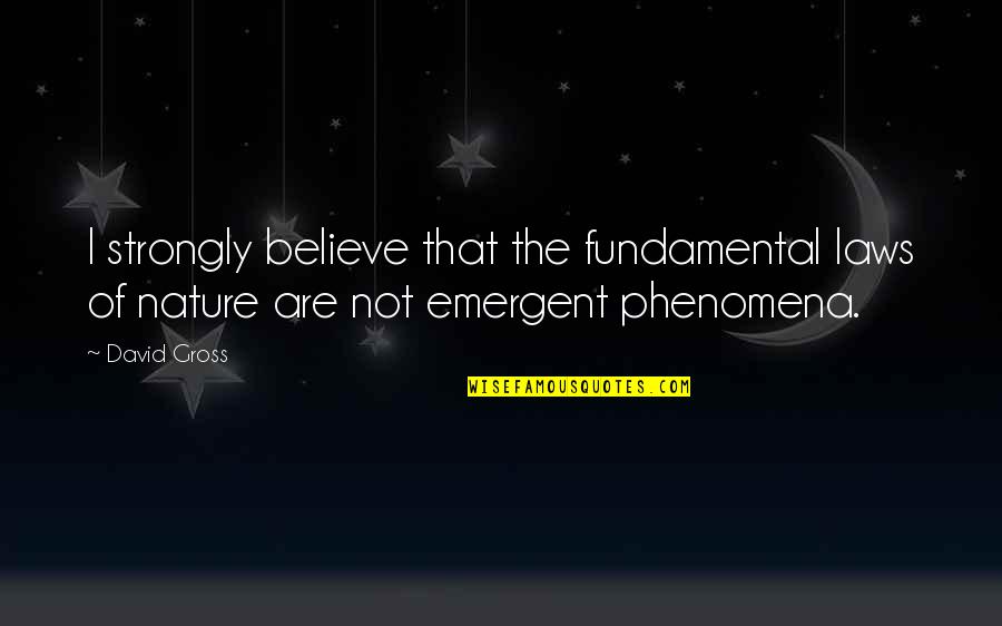 Positive Copycats Quotes By David Gross: I strongly believe that the fundamental laws of