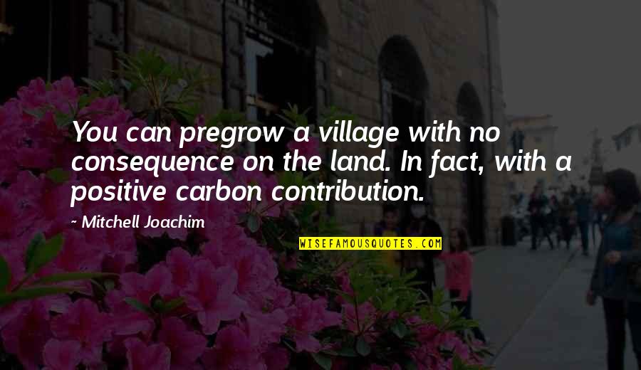 Positive Fact Quotes By Mitchell Joachim: You can pregrow a village with no consequence