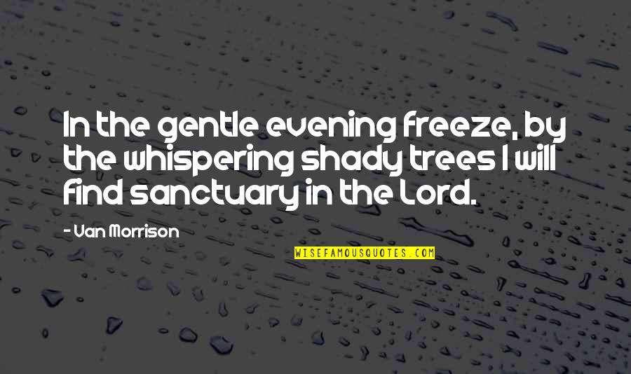 Positive Feng Shui Quotes By Van Morrison: In the gentle evening freeze, by the whispering