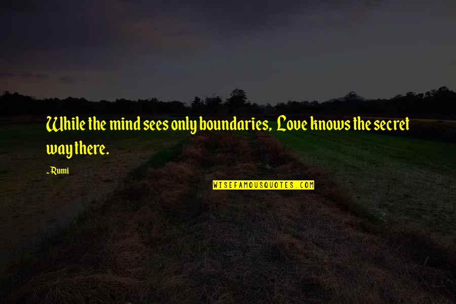 Positive Inspirational Unicorn Quotes By Rumi: While the mind sees only boundaries, Love knows