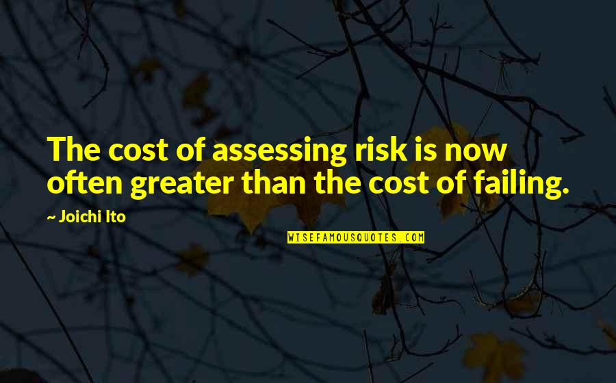 Positive Jail Quotes By Joichi Ito: The cost of assessing risk is now often