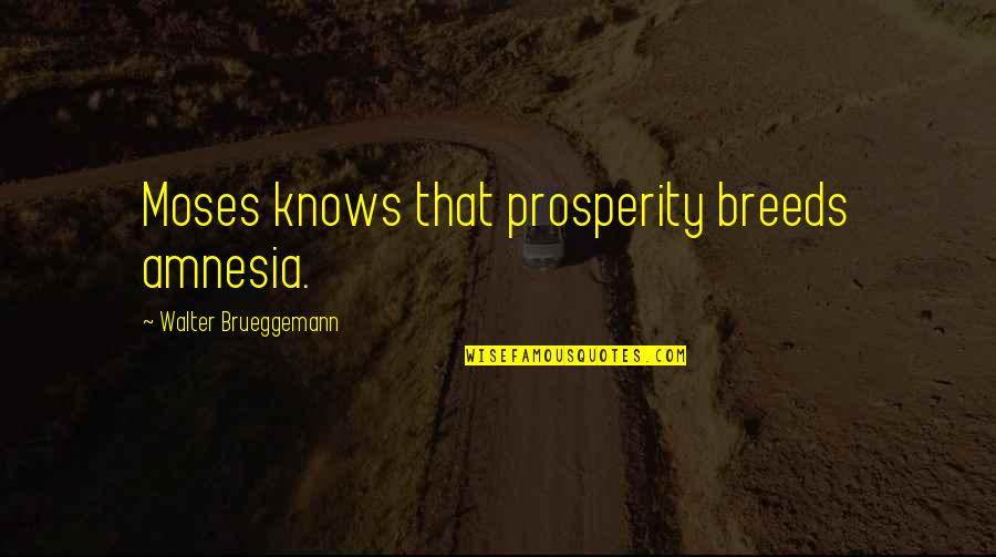 Positive Mental Wellbeing Quotes By Walter Brueggemann: Moses knows that prosperity breeds amnesia.
