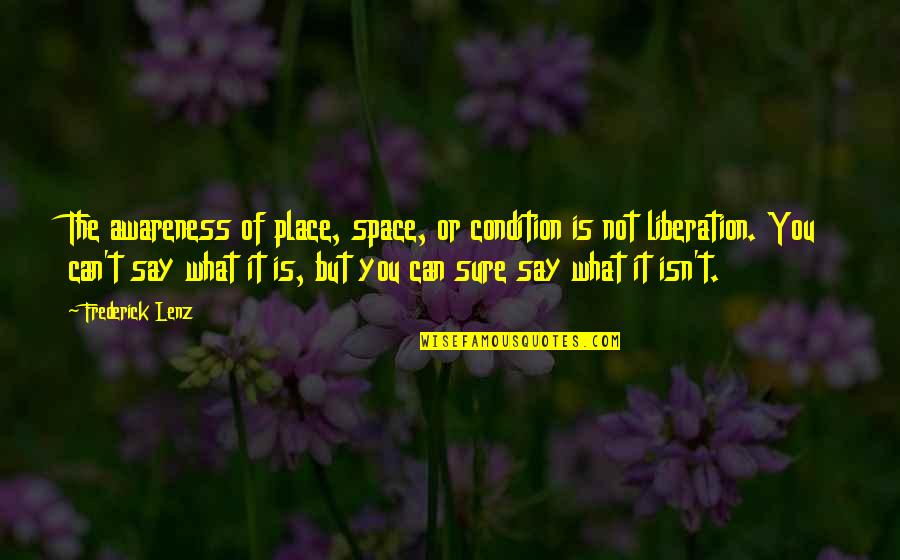 Positive Mimicry Quotes By Frederick Lenz: The awareness of place, space, or condition is Positive Mimicry Quotes By Frederick Lenz: The awareness of place, space, or condition is
