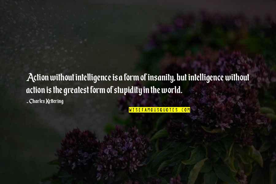 Positive Philosophical Quotes By Charles Kettering: Action without intelligence is a form of insanity,