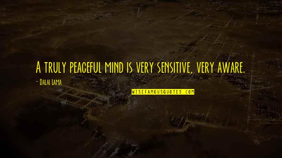 Positive Publicity Quotes By Dalai Lama: A truly peaceful mind is very sensitive, very