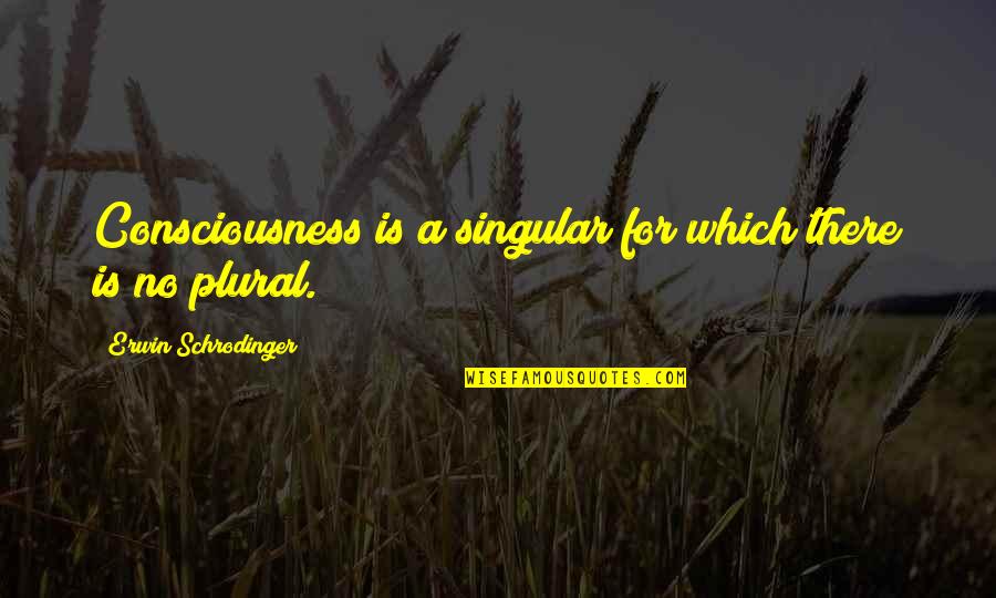 Positive Reminder Quotes By Erwin Schrodinger: Consciousness is a singular for which there is Positive Reminder Quotes By Erwin Schrodinger: Consciousness is a singular for which there is