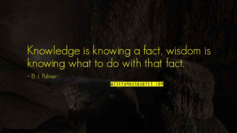 Positive Sunset Quotes By B. J. Palmer: Knowledge is knowing a fact, wisdom is knowing