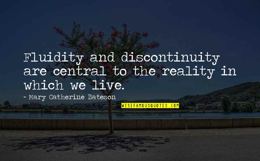 Positive Work Affirmation Quotes By Mary Catherine Bateson: Fluidity and discontinuity are central to the reality