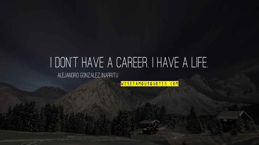 Positivity And Negativity Quotes By Alejandro Gonzalez Inarritu: I don't have a career. I have a