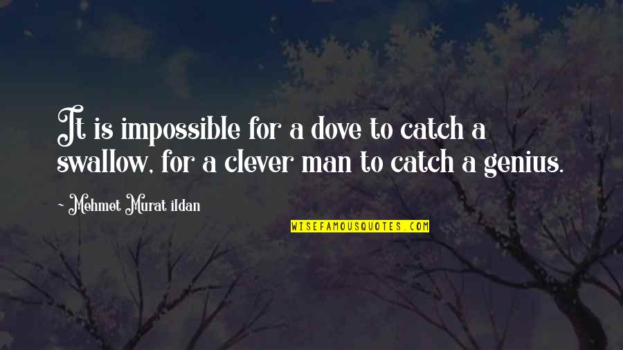Posnanski Blog Quotes By Mehmet Murat Ildan: It is impossible for a dove to catch