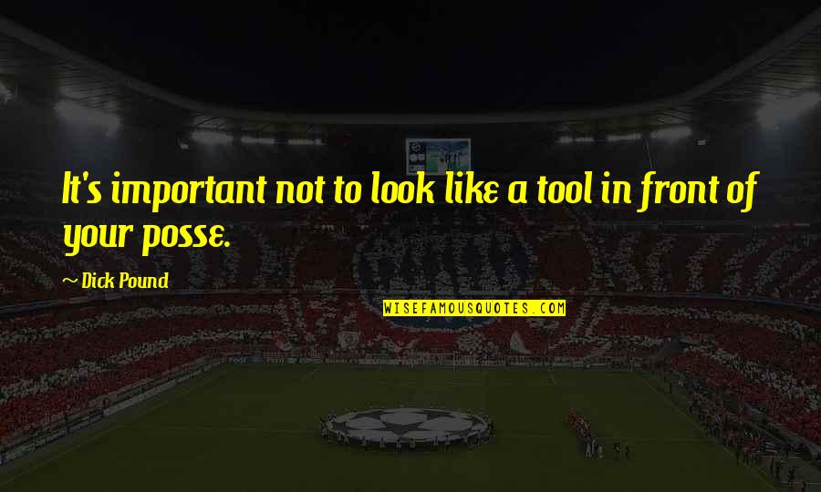 Posse Quotes By Dick Pound: It's important not to look like a tool