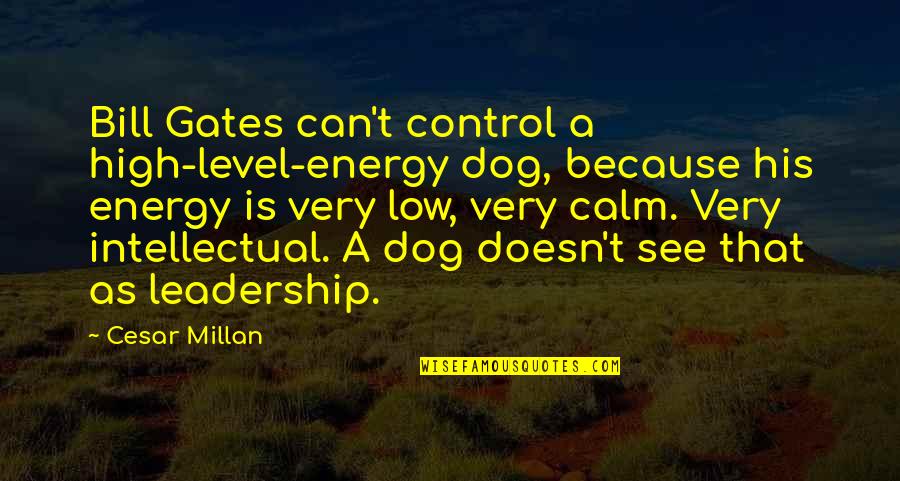 Possedere Quotes By Cesar Millan: Bill Gates can't control a high-level-energy dog, because Possedere Quotes By Cesar Millan: Bill Gates can't control a high-level-energy dog, because