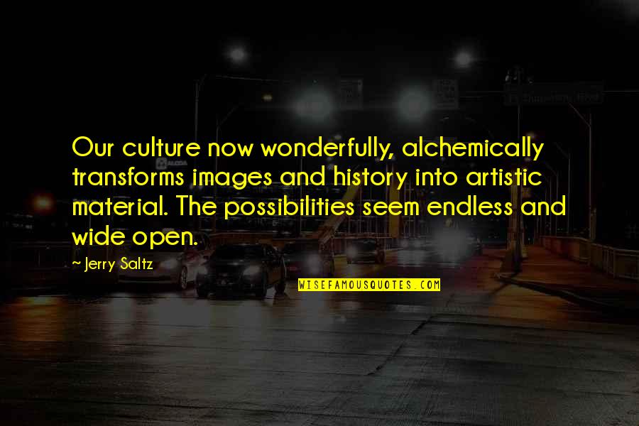 Possibilities Are Endless Quotes By Jerry Saltz: Our culture now wonderfully, alchemically transforms images and