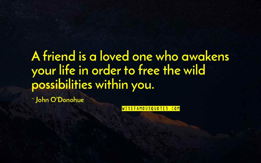 Possibilities In Your Life Quotes By John O'Donohue: A friend is a loved one who awakens