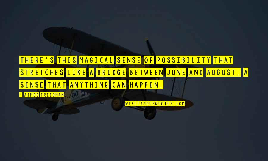 Possibility's Quotes By Aimee Friedman: There's this magical sense of possibility that stretches