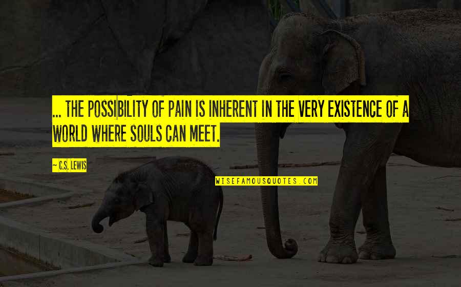 Possibility's Quotes By C.S. Lewis: ... the possibility of pain is inherent in