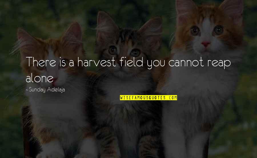 Possiblity Quotes By Sunday Adelaja: There is a harvest field you cannot reap