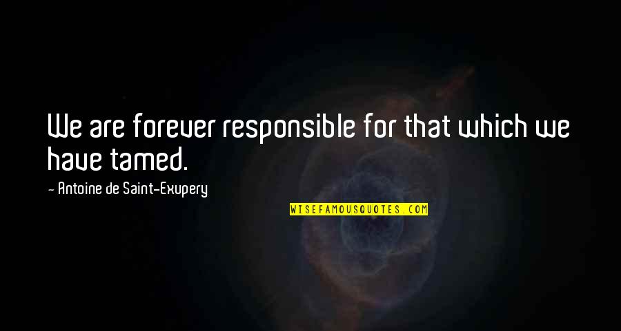 Possidente Significato Quotes By Antoine De Saint-Exupery: We are forever responsible for that which we