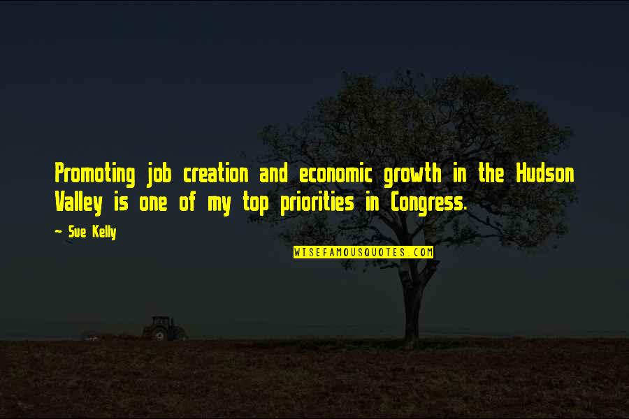 Possis Catheter Quotes By Sue Kelly: Promoting job creation and economic growth in the