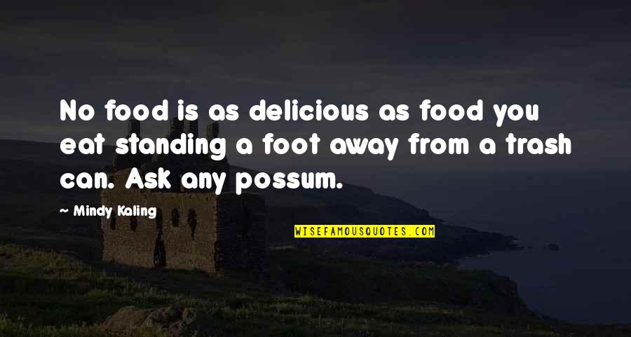 Possum Quotes By Mindy Kaling: No food is as delicious as food you