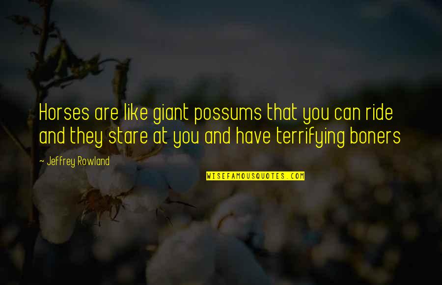 Possums Quotes By Jeffrey Rowland: Horses are like giant possums that you can Possums Quotes By Jeffrey Rowland: Horses are like giant possums that you can