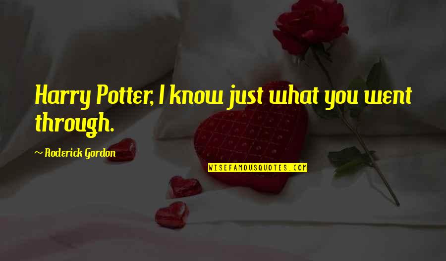 Post Feminist Quotes By Roderick Gordon: Harry Potter, I know just what you went