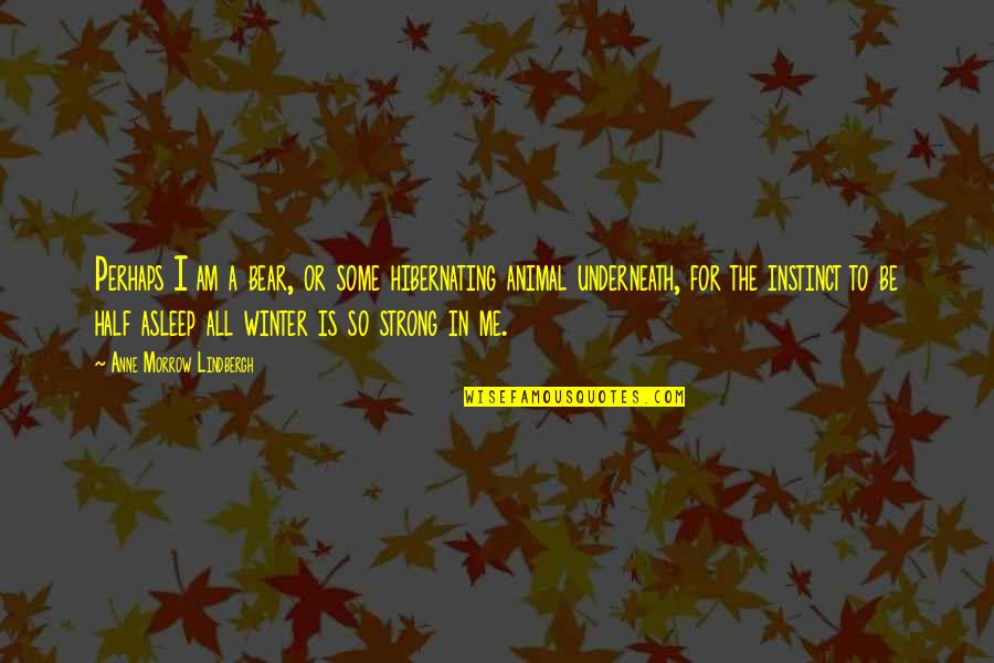 Post Shave Quotes By Anne Morrow Lindbergh: Perhaps I am a bear, or some hibernating Post Shave Quotes By Anne Morrow Lindbergh: Perhaps I am a bear, or some hibernating