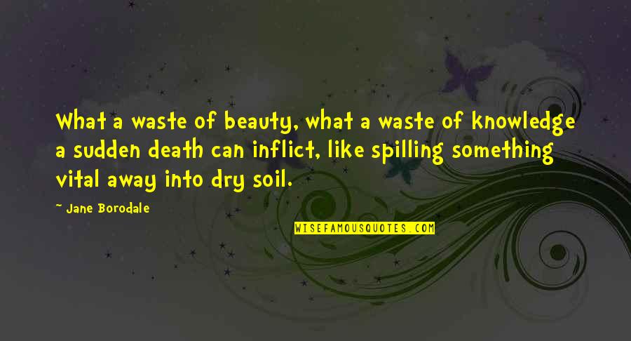 Posteriorities Quotes By Jane Borodale: What a waste of beauty, what a waste