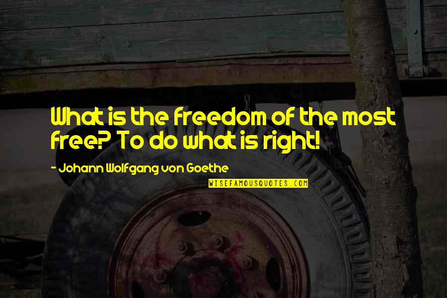 Posting Status Quotes By Johann Wolfgang Von Goethe: What is the freedom of the most free?