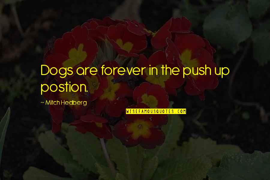 Postion Quotes By Mitch Hedberg: Dogs are forever in the push up postion.