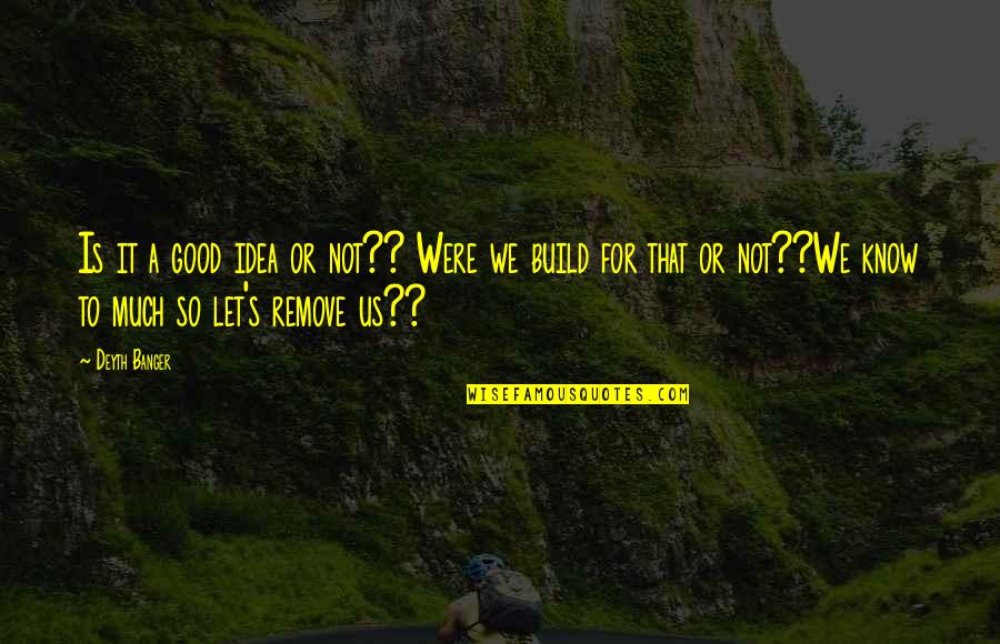 Postponed Until Further Notice Quotes By Deyth Banger: Is it a good idea or not?? Were