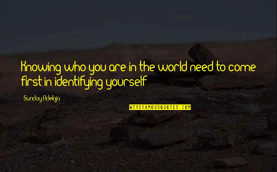 Postsecret Quotes By Sunday Adelaja: Knowing who you are in the world need